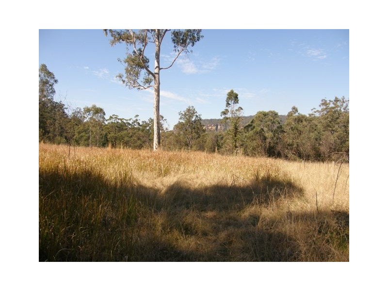 1698 Kangaroo Creek Rd, Kangaroo Creek NSW 2460