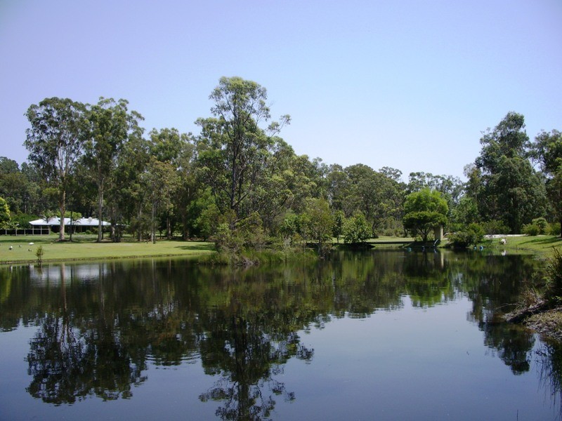 433 Wooli Road, Pillar Valley NSW 2462