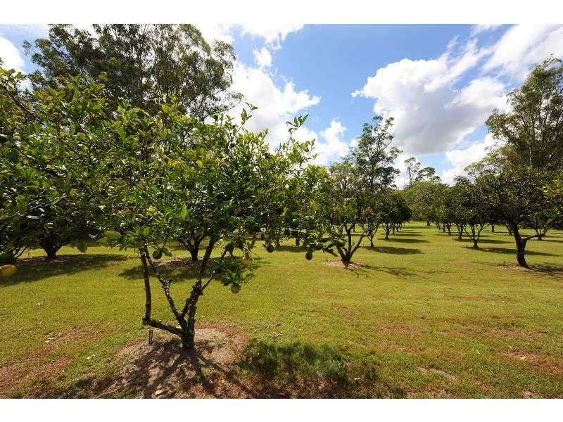 433 Wooli Road, Pillar Valley NSW 2462