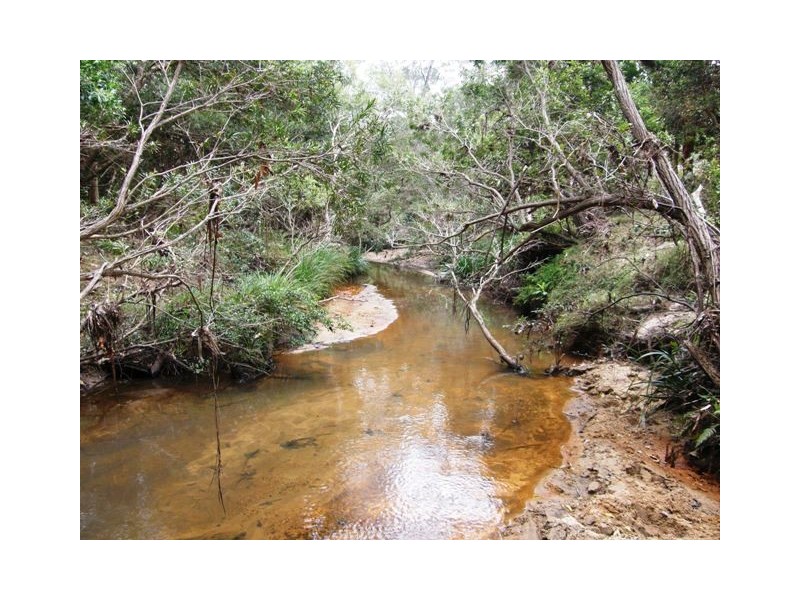 554 Middle Creek Road, Kangaroo Creek NSW 2460