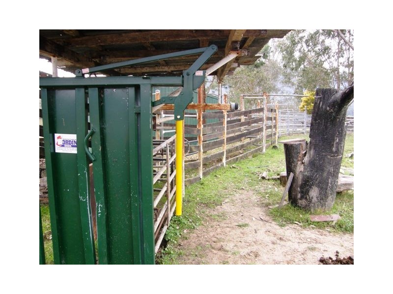 554 Middle Creek Road, Kangaroo Creek NSW 2460