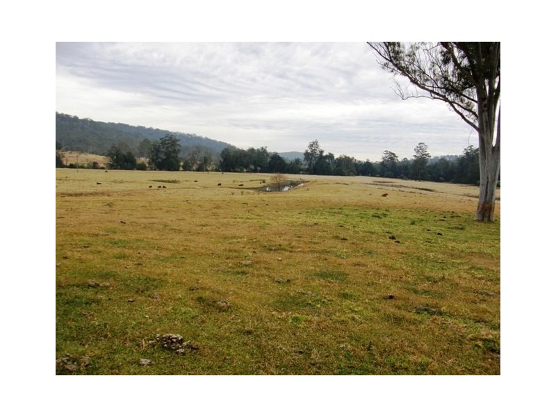 554 Middle Creek Road, Kangaroo Creek NSW 2460