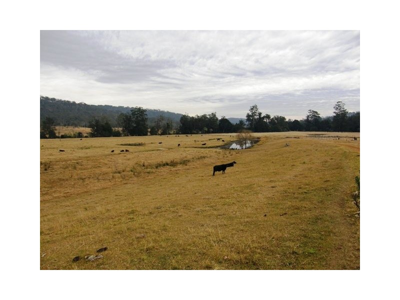 554 Middle Creek Road, Kangaroo Creek NSW 2460