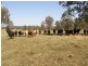 Lot 17 Coaldale Road, Barretts Creek NSW 2460