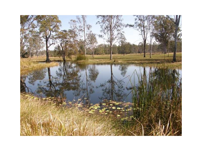 Lot 17 Coaldale Road, Barretts Creek NSW 2460