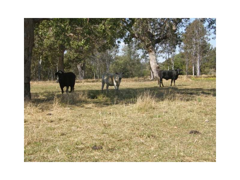 Lot 17 Coaldale Road, Barretts Creek NSW 2460