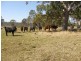 Lot 17 Coaldale Road, Barretts Creek NSW 2460