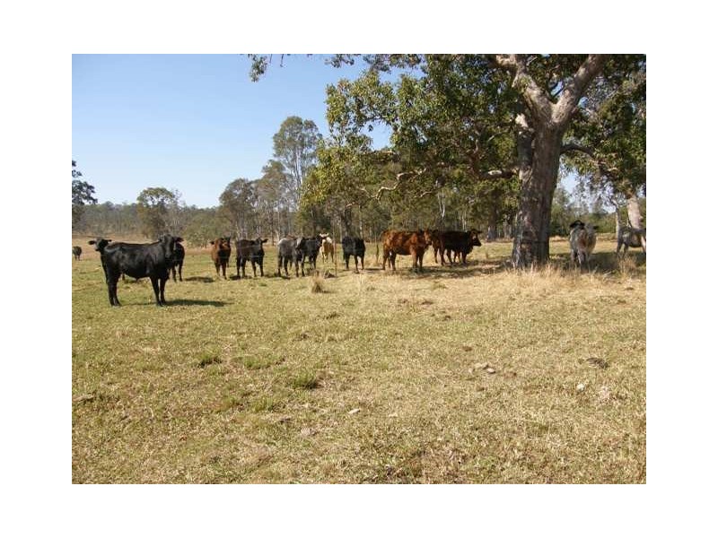 Lot 17 Coaldale Road, Barretts Creek NSW 2460