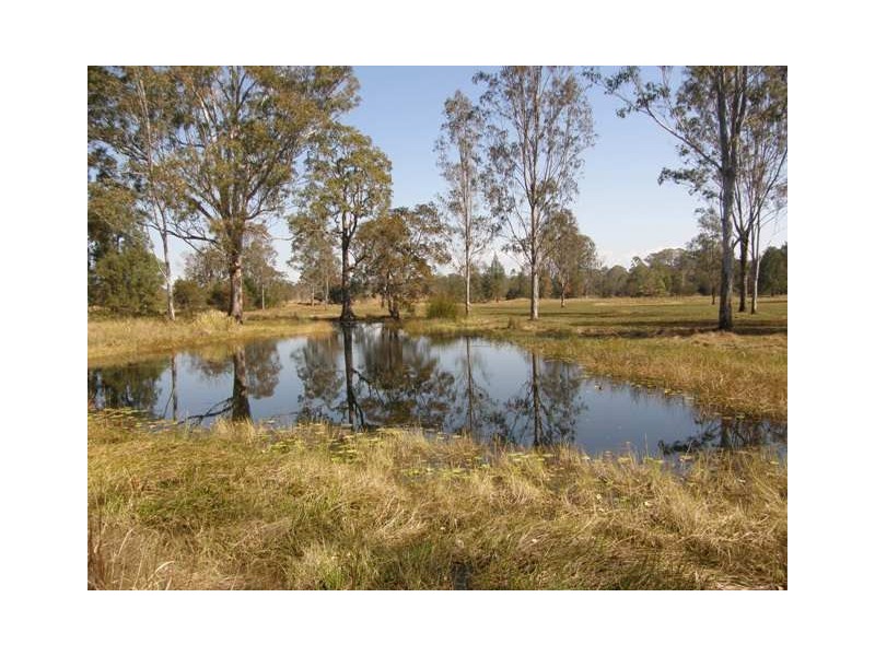 Lot 17 Coaldale Road, Barretts Creek NSW 2460