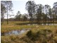 Lot 17 Coaldale Road, Barretts Creek NSW 2460