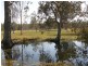 Lot 17 Coaldale Road, Barretts Creek NSW 2460