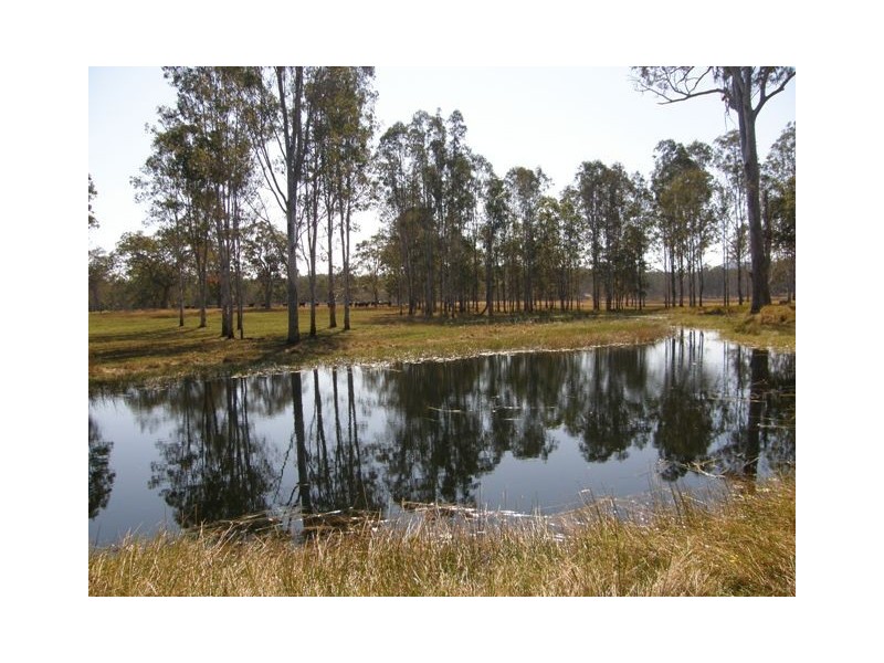 Lot 17 Coaldale Road, Barretts Creek NSW 2460