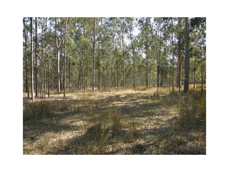 Lot 17 Coaldale Road, Barretts Creek NSW 2460