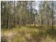 Lot 17 Coaldale Road, Barretts Creek NSW 2460