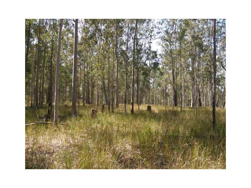 Lot 17 Coaldale Road, Barretts Creek NSW 2460
