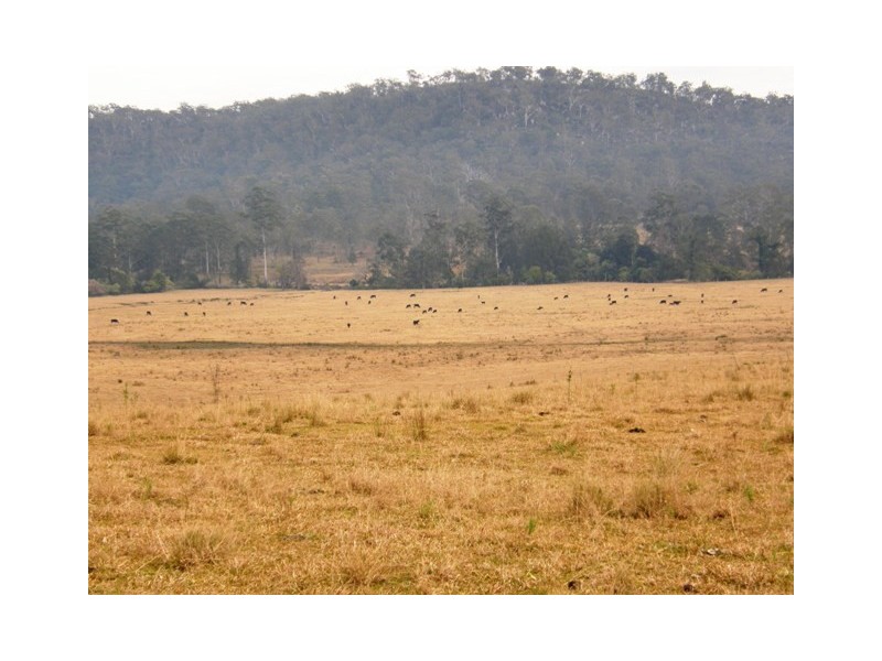 554 Middle Creek Road, Kangaroo Creek NSW 2460