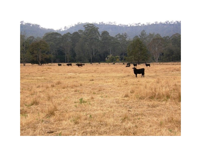 554 Middle Creek Road, Kangaroo Creek NSW 2460