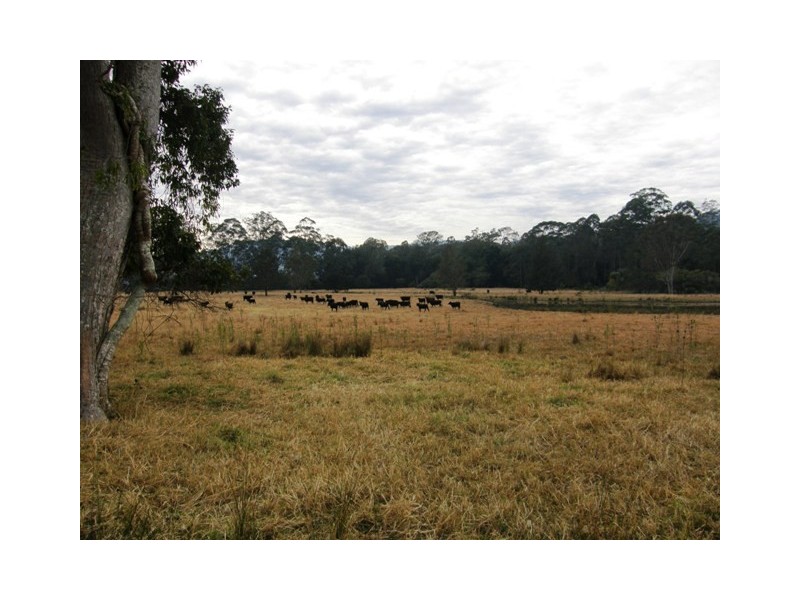 554 Middle Creek Road, Kangaroo Creek NSW 2460