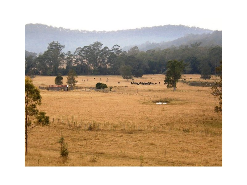 554 Middle Creek Road, Kangaroo Creek NSW 2460