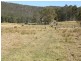 1375 Kangaroo Creek Rd, Kangaroo Creek NSW 2460