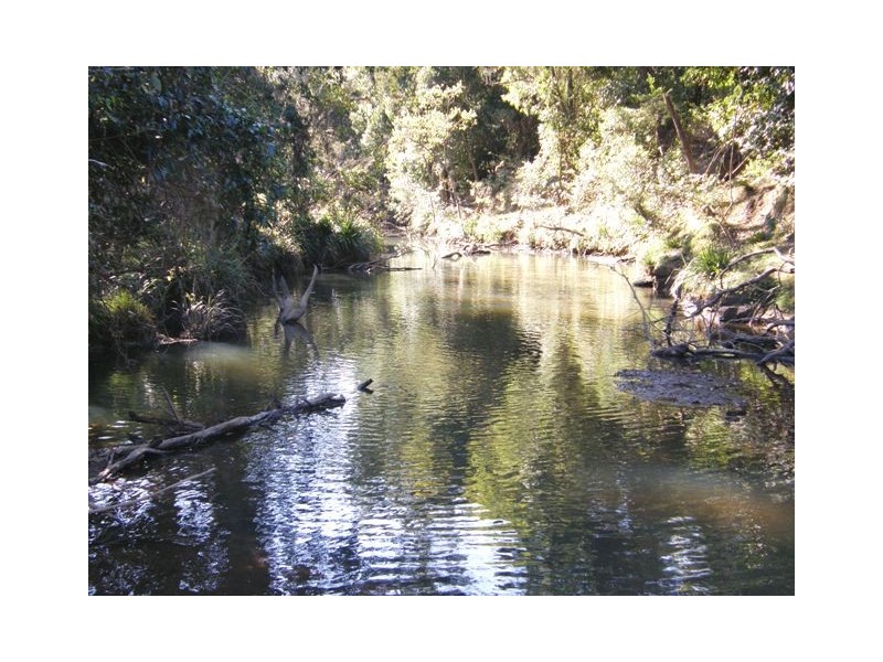 1375 Kangaroo Creek Rd, Kangaroo Creek NSW 2460