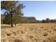 1375 Kangaroo Creek Rd, Kangaroo Creek NSW 2460