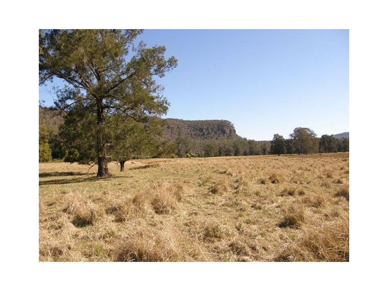 1375 Kangaroo Creek Rd, Kangaroo Creek NSW 2460