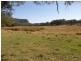 1375 Kangaroo Creek Rd, Kangaroo Creek NSW 2460