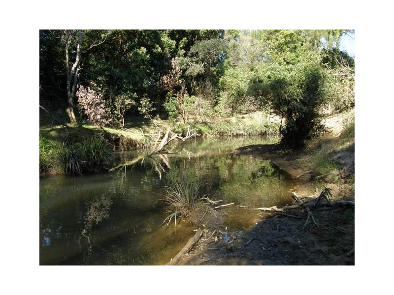 1375 Kangaroo Creek Rd, Kangaroo Creek NSW 2460