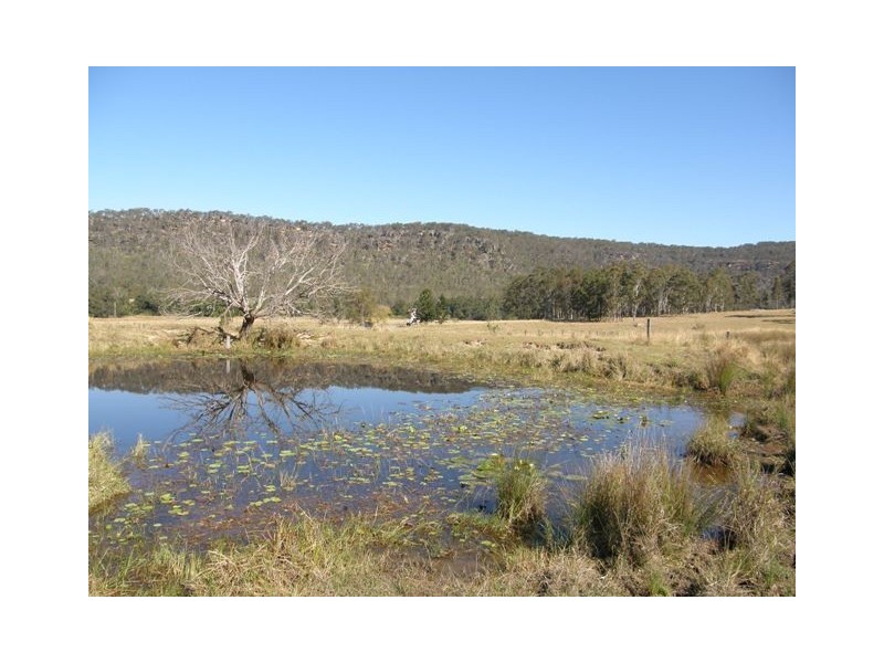 1375 Kangaroo Creek Rd, Kangaroo Creek NSW 2460