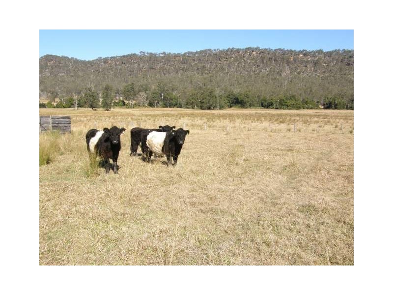 1375 Kangaroo Creek Rd, Kangaroo Creek NSW 2460