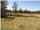 1375 Kangaroo Creek Rd, Kangaroo Creek NSW 2460