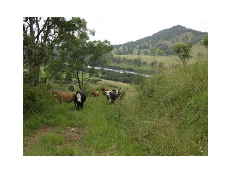 Lot 2 Wongabri Road, Jackadgery NSW 2460