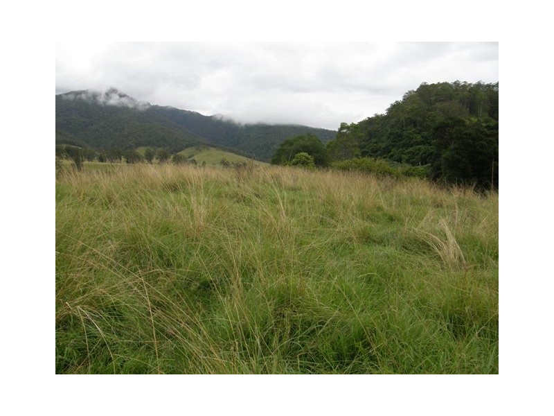 Lot 2 Wongabri Road, Jackadgery NSW 2460