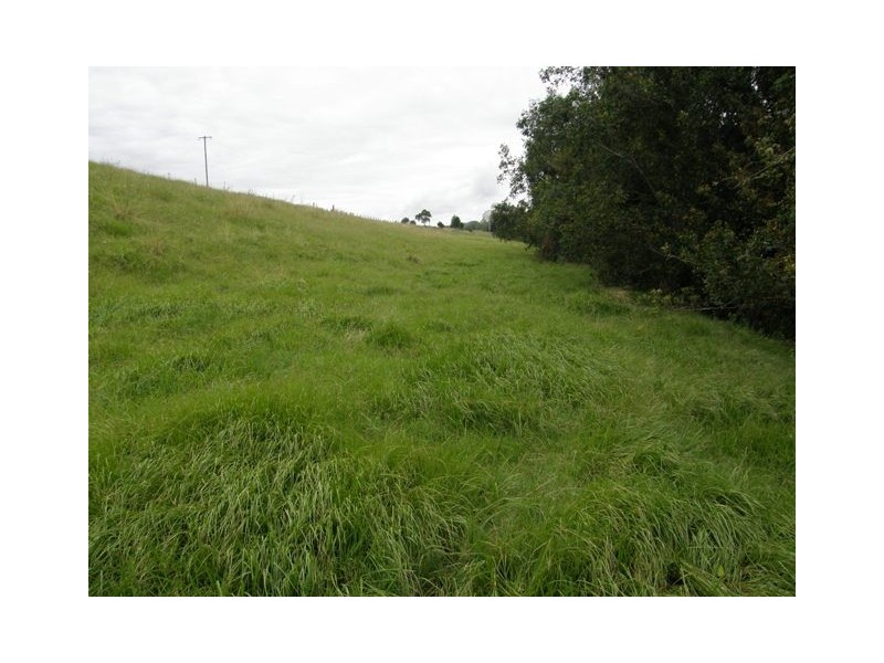 Lot 2 Wongabri Road, Jackadgery NSW 2460