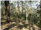 1698 Kangaroo Creek Rd, Kangaroo Creek NSW 2460