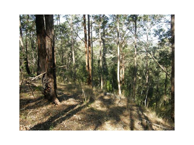 1698 Kangaroo Creek Rd, Kangaroo Creek NSW 2460