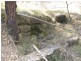 1698 Kangaroo Creek Rd, Kangaroo Creek NSW 2460