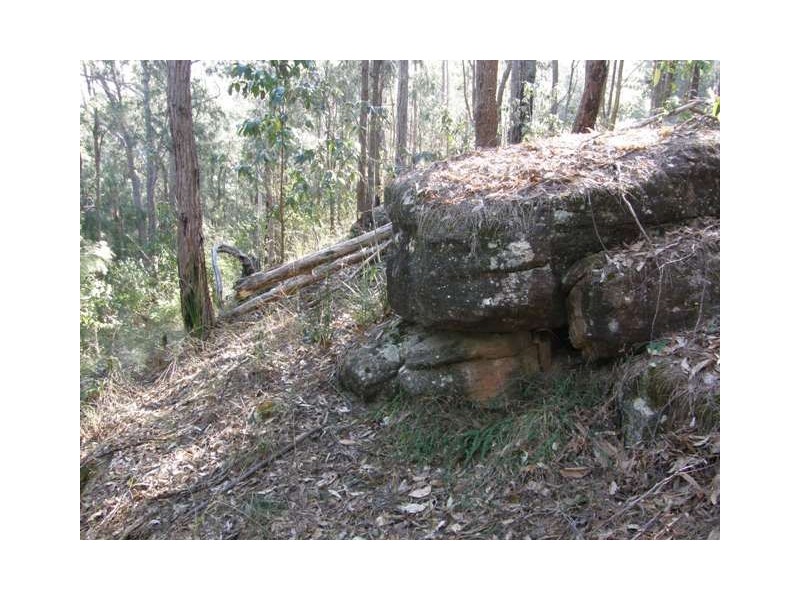1698 Kangaroo Creek Rd, Kangaroo Creek NSW 2460