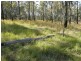 1698 Kangaroo Creek Rd, Kangaroo Creek NSW 2460