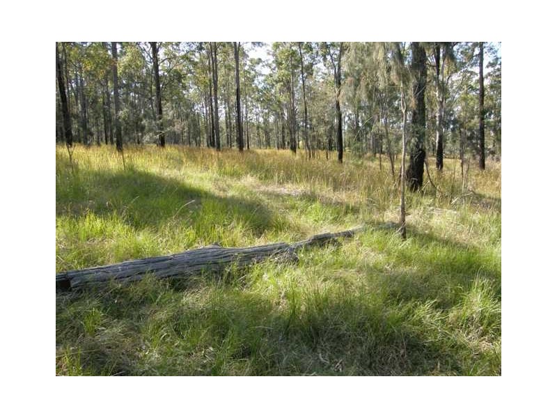 1698 Kangaroo Creek Rd, Kangaroo Creek NSW 2460