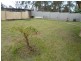 24a Lilypool Road, South Grafton NSW 2460
