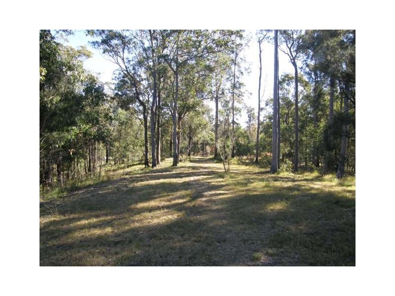 2533 Blacksmith Shop Road, Newton Boyd NSW 2370