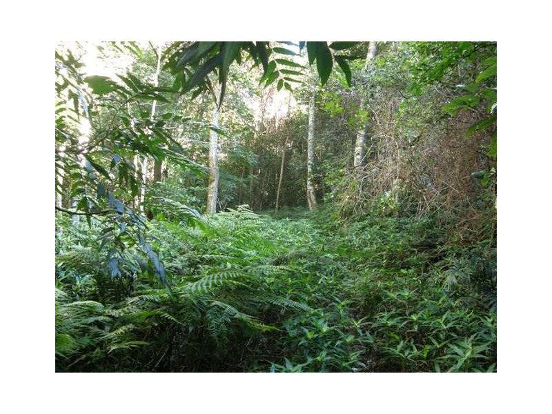 2533 Blacksmith Shop Road, Newton Boyd NSW 2370