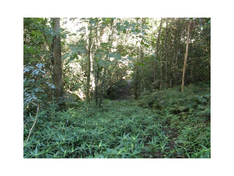 2533 Blacksmith Shop Road, Newton Boyd NSW 2370