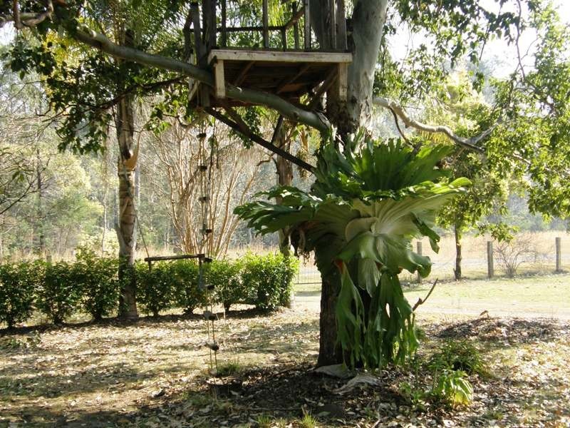 103 Orara Road, Lanitza NSW 2460