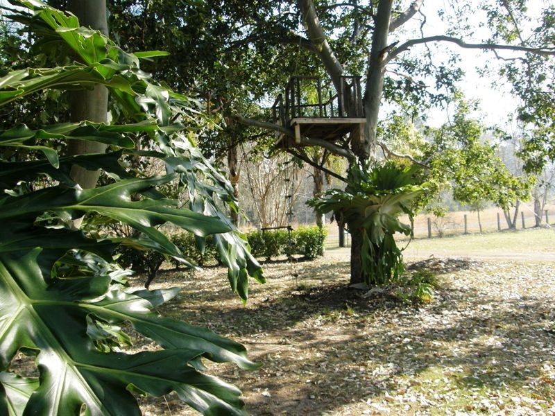 103 Orara Road, Lanitza NSW 2460