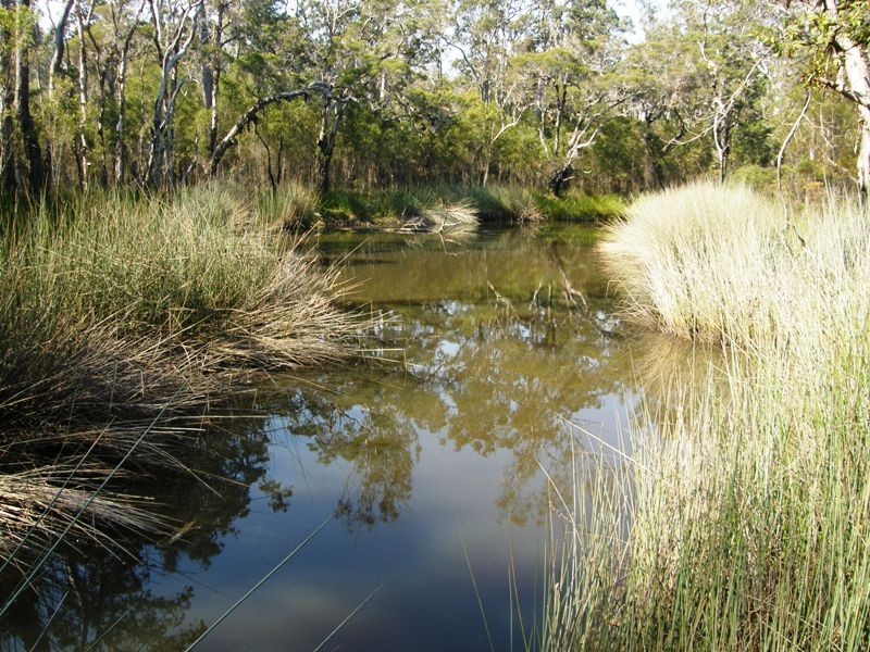 103 Orara Road, Lanitza NSW 2460