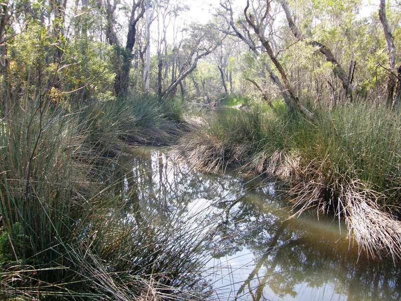 103 Orara Road, Lanitza NSW 2460