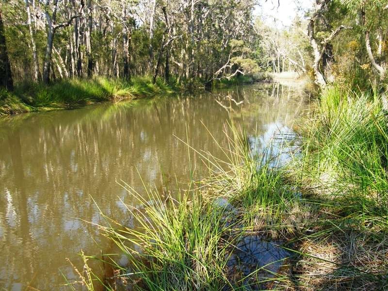 103 Orara Road, Lanitza NSW 2460